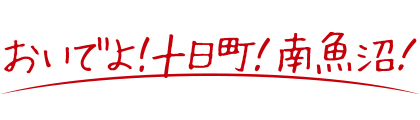 おいでよ！十日町！南魚沼！